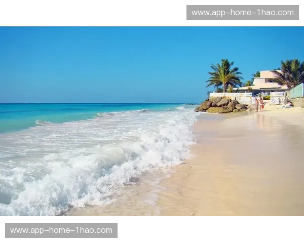 Fedoravs.LinuxMint：谁是你的理想桌面操作系统？